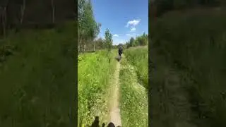На велике по лесам и полям