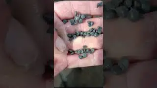 Гранулятор водо-кольцевой 500 кг/час Турция ustun