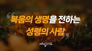 [매일기도] 11월 12일 화요일 | 복음의 생명을 전하는 성령의 사람