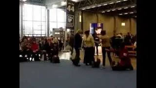 Finnish Winner 2012. Расстановка сук.MP4
