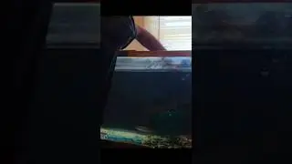 Catching Fish is HARD🤬🤬