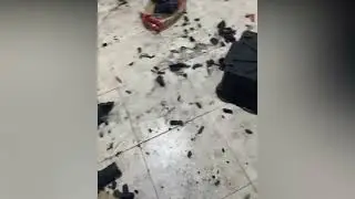 Пес Осознал, Что Сделал Что То Не Так, и Решил Себя Наказать