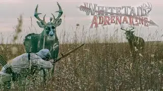 Jared Scheffler of "Whitetail Adrenaline" Video Podcast | Deer Drives