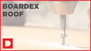 BoardeX roof