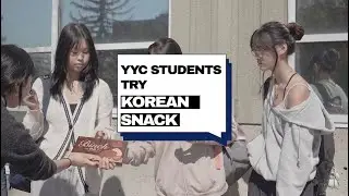 [A-Mart] YYC STUDENTS TRY KOREAN SNACK! - BINCH CHOCOLATE CRACKER