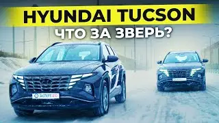 Делают ОНИ, а ездить нам! Корейский ХЁНДАЙ ТУССАН / Разбираемся что это такое! / ЭКСПЕРТ АВТО ОБЗОР