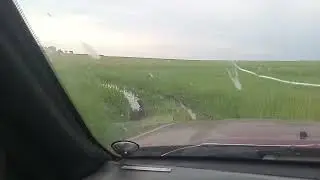 проверяем всходы / сенокос / немного оффроада /