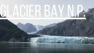Glacier Bay National Park | A Cruise Ship Guide