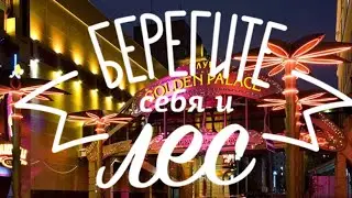 Жизнь Берсил Vlog 13 (Бейонсе у нас в гримерке, концерт в Golden Palace, распаковка еды)