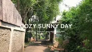 VLOG) Strolling around my neighborhood 🌿 #dayinmylife #nature #cozy #sunny