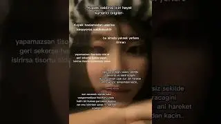 kopek saldirisi icin hayat kurtarici bilgiler #kopek #saldiri #bilgi #kesfet #viral #kpop #fyp #tut