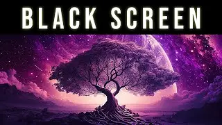 Manifest Anything You Desire | Deep Law Of Attraction Black Screen Manifestation Sleep Music