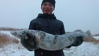 Зимняя рыбалка на Круглом Озере.  Щуки и Белая Рыба.
