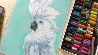 БЕЛЫЙ ПОПУГАЙ /МАСТЕР КЛАСС ЖИВОПИСИ/ПАСТЕЛЬ/white parrot / pastel /