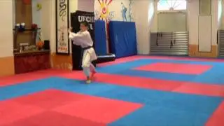 Kata Sanseirui - Leo Lee