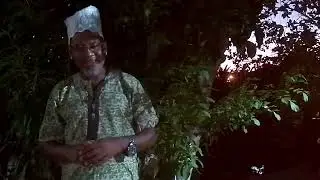 folhas de Iansã ( ewé )