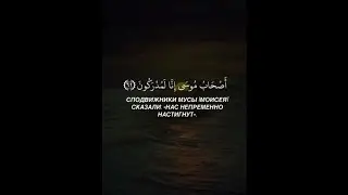 Красивое Чтение Корана Махди Аш-шишани🖤☝🏻#ислам #рекомендации #религия