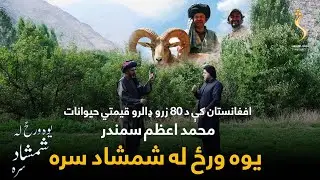 Yawa Wraz La Shamshad Sara| یوه ورځ له شمشاد سره - اعظم سمندر، د ځنګلونو او وحشي حیواناتو برخې متخصص