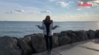 Марина Семик, вебинар 