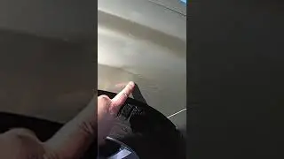 Нежданчик после помывки