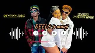Sharma Boy|Beelo is muuji|Sharuu cajabkadhig |official audio