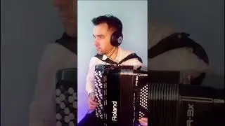 Непара - Другая причина (accordion cover)