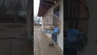Нарибади