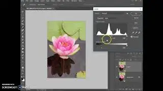 Digital Photo 19/20 (P6) - Photoshop Editing Basics