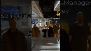 junior  vs senior developer 🤣 