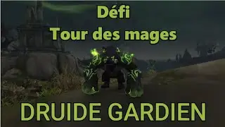 Guide : Tour des Mages Druide Gardien