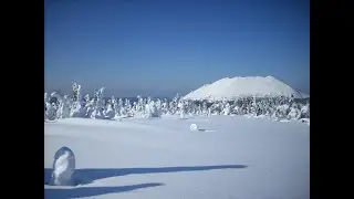 Пошли в поход 2020