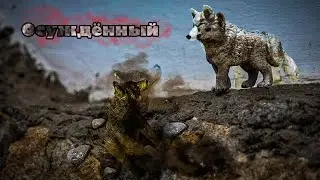 Осуждённый. Шляйх сериал про Волков 1 серия 1сезон