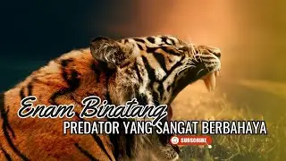Enam Binatang Pemangsa yang berbahaya - Online Zoo