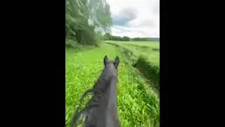 СВОБОДА!-ВОЛЯ!!!