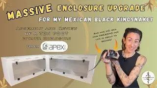 Epic Upgrade for My Mexican Black Kingsnake! Apex Reptile Enclosure Assembly