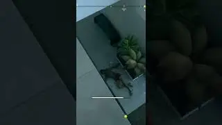 Kick only run #deadisland2 #gaming #zombiesurvival #ps5 #doubletap #singleplayer