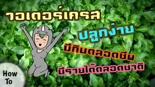 how to cutting watercress
