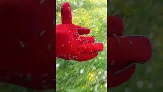 Комары в Сибири
