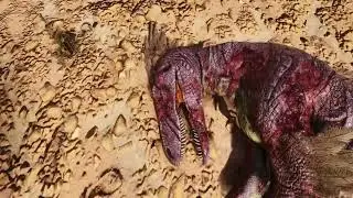 Bob with his raptors