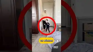 Собака переволновалась  😂