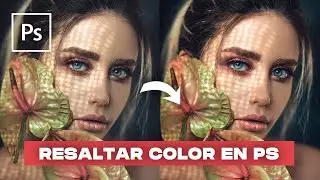 Como RESALTAR colores de una foto RÁPIDO | Tutorial de Photoshop