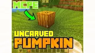 UNCARVED PUMPKINS IN MCPE?! - Uncarved Pumpkins Add-on (2.0 AVAILABLE!!!) | Amanda Danielle
