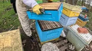 Ставим магазины, Роение пчелы#пчеловодство #роение #пчелы