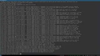 Setting up Salt Stack on Debian
