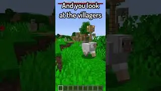 Hidden Detail in Minecraft Villagers!
