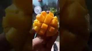 ☠⚠ mango live video free mango Apple 