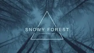Snowy Forest