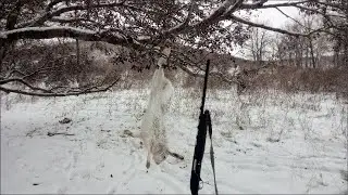 Охота на зайца. Не всё так просто...