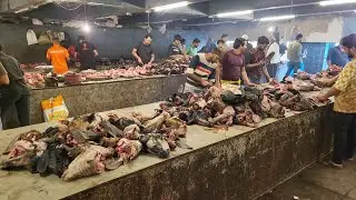 Deonar Mutton Market Wholesale| #deonarvlog #kaleji #mutton #bakragoat  #gosht  #govandi #muttonpart