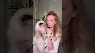 Я живу с КОШКОЙ и… 